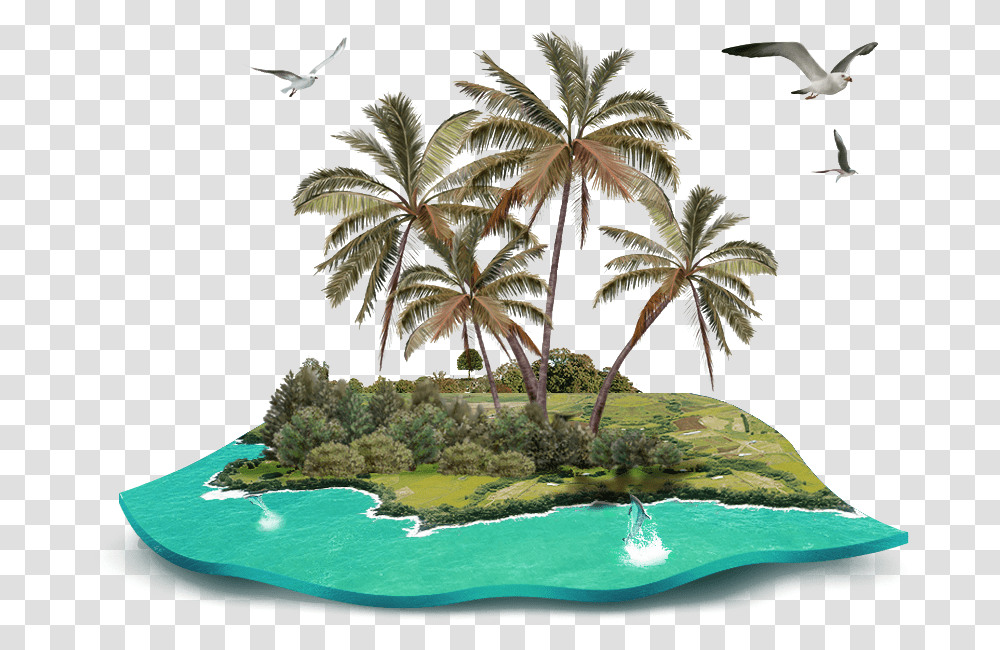 Beach Clipart Coconut Gratis Island Tree Decoration Tropical Island, Outdoors, Nature, Bird, Animal Transparent Png