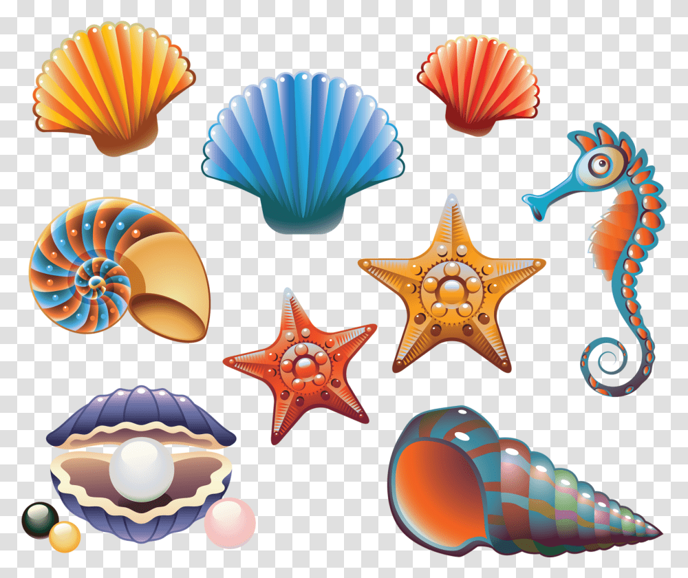 Beach Clipart Printable Clam Shell Clipart, Sea Life, Animal, Invertebrate, Seashell Transparent Png