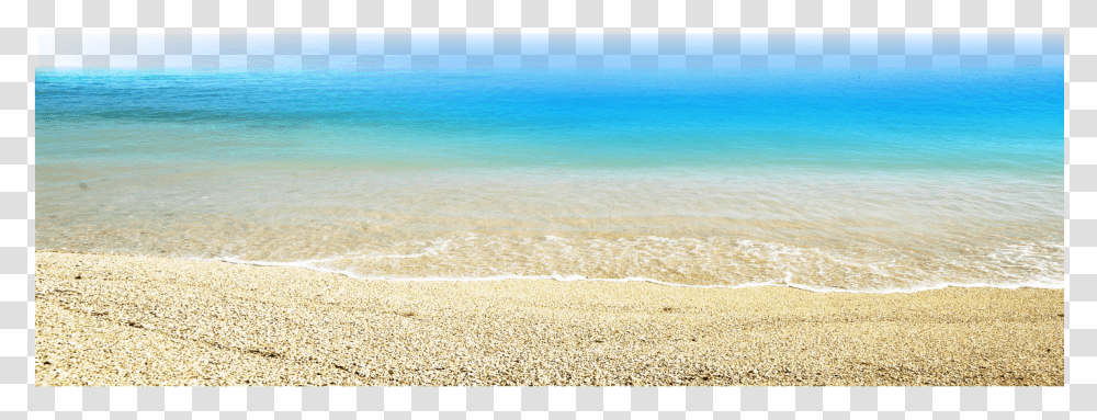 Beach Clipart Sand, Sea Life, Animal, Seashell, Invertebrate Transparent Png