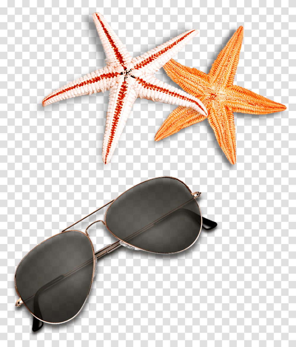 Beach Elements Sunglasses Starfish Free Clipart Hd, Accessories, Accessory, Sea Life, Animal Transparent Png