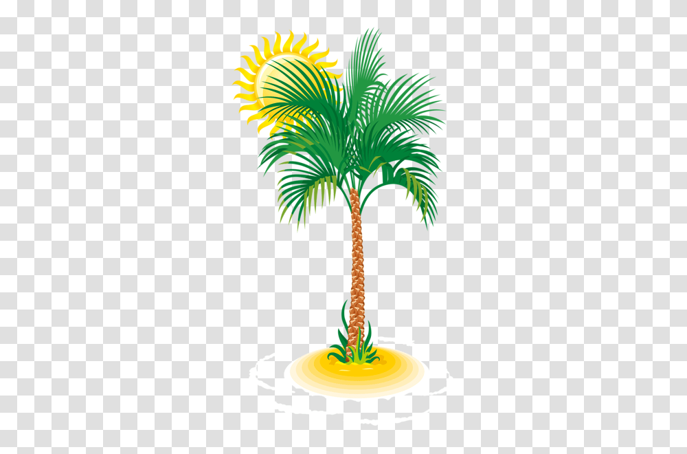 Beach, Nature, Palm Tree, Plant, Arecaceae Transparent Png