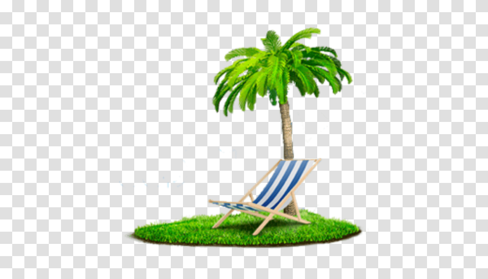 Beach, Nature, Tree, Plant, Palm Tree Transparent Png