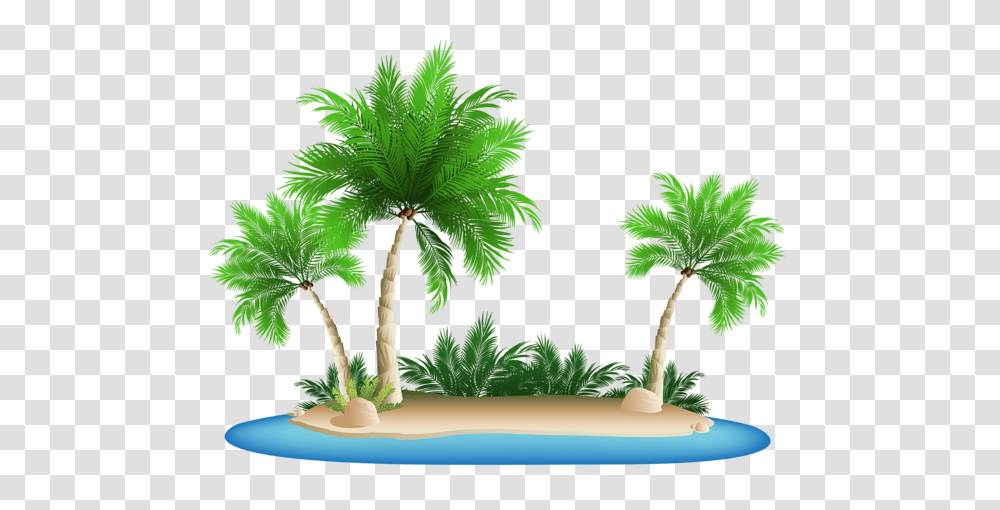 Beach, Nature, Tree, Plant, Palm Tree Transparent Png