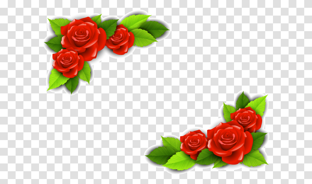 Beach Rose Flower Adobe Illustrator Rose Flower Pic Vector, Graphics, Art, Floral Design, Pattern Transparent Png
