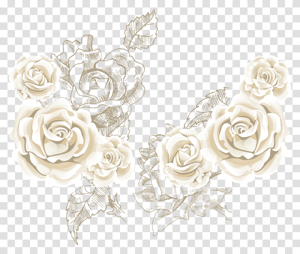 Beach Rose Flower Clip Art White Roses Background, Floral Design, Pattern, Drawing Transparent Png