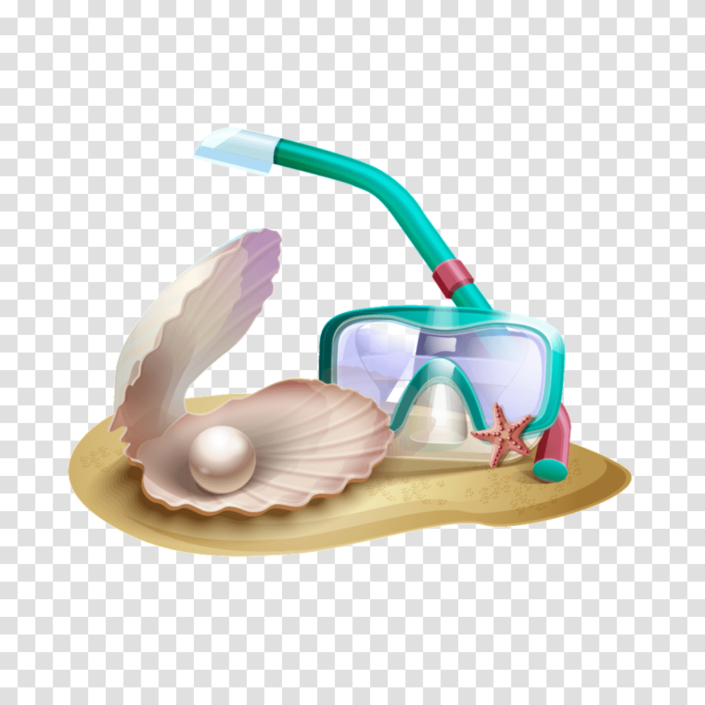 Beach Shell Free Download Vector, Animal, Invertebrate, Sea Life, Clam Transparent Png