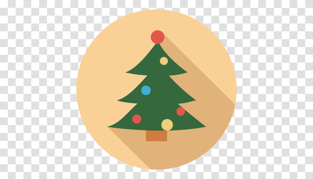 Beach Trees Icons Download Free And Vector Icons, Plant, Ornament, Christmas Tree Transparent Png