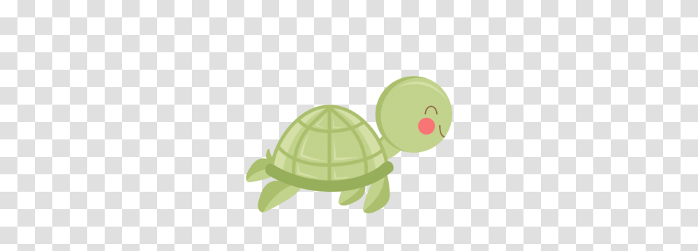 Beachocean, Tortoise, Turtle, Reptile, Sea Life Transparent Png