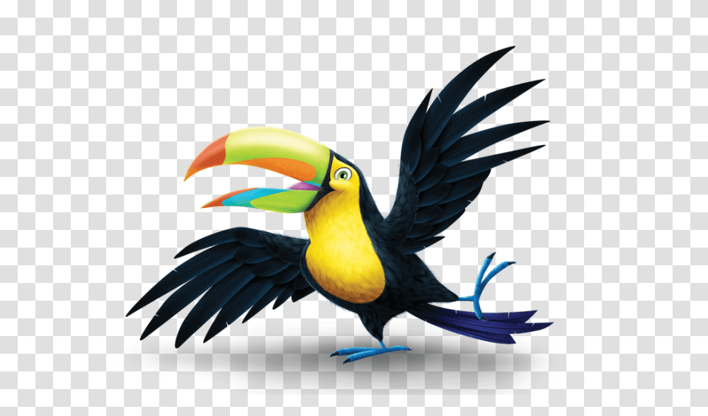 Beacon, Bird, Animal, Toucan, Beak Transparent Png