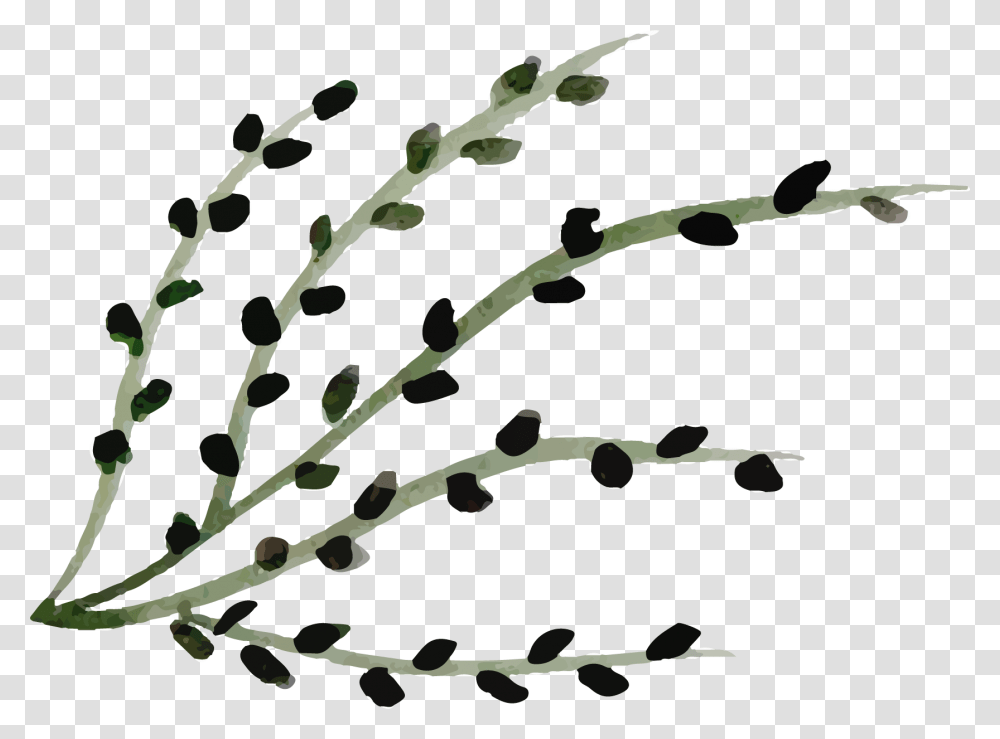 Bead, Plant, Food, Leaf, Flower Transparent Png