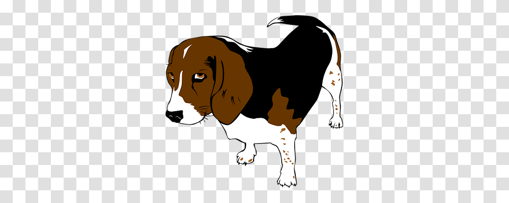 Beagle Animals, Mammal, Hound, Dog Transparent Png