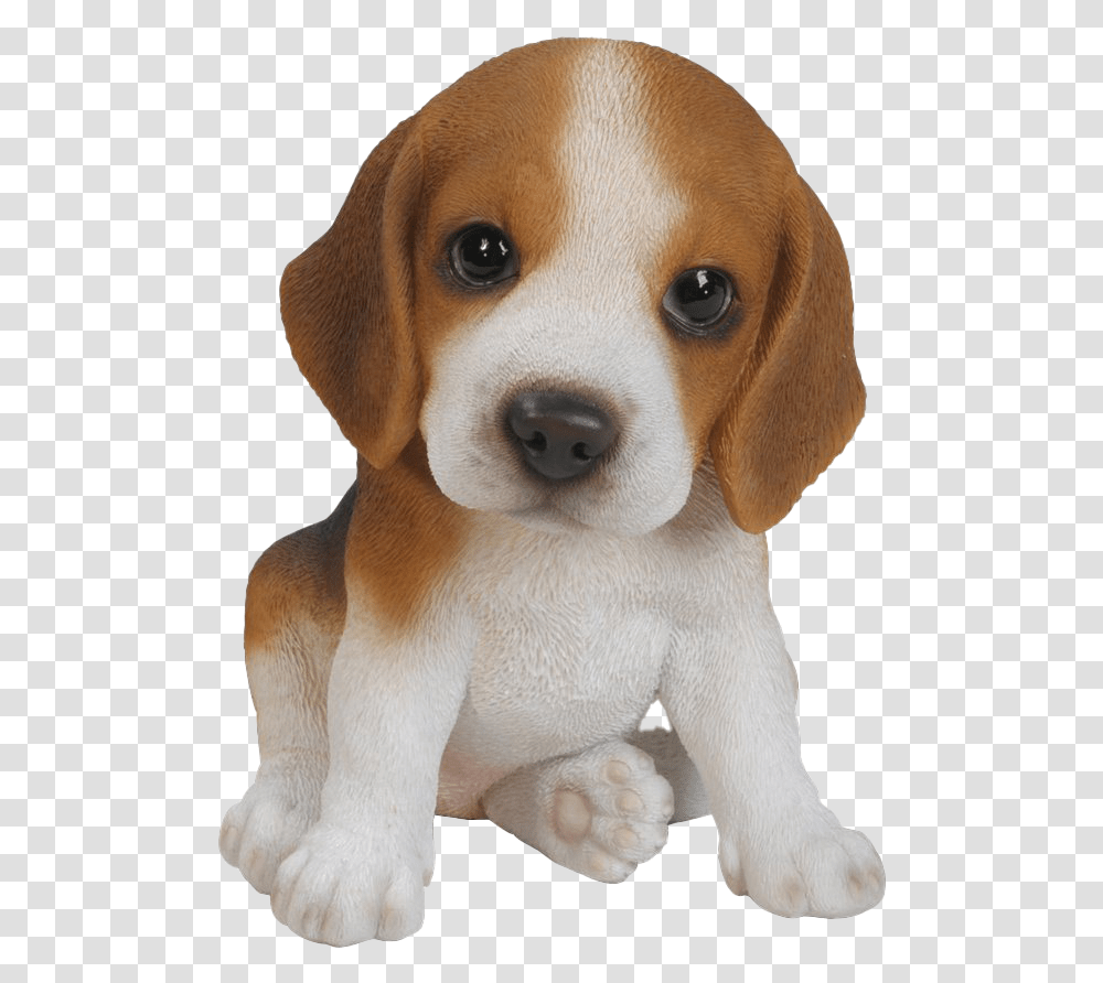 Beagle Background Image Beagle Puppy, Hound, Dog, Pet, Canine Transparent Png