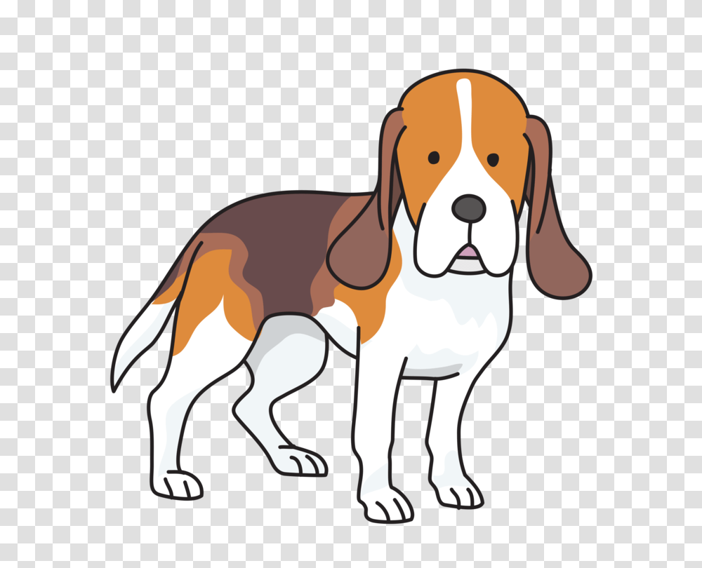 Beagle Clip Art For Free Download On Ya Webdesign, Hound, Dog, Pet, Canine Transparent Png