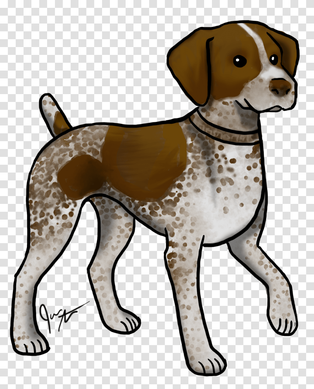 Beagle Clipart Cute German Shorthaired Pointer Stickers, Hound, Dog, Pet, Canine Transparent Png
