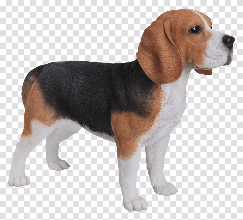 Beagle Download Image Beagle Garden Ornament, Hound, Dog, Pet, Canine Transparent Png