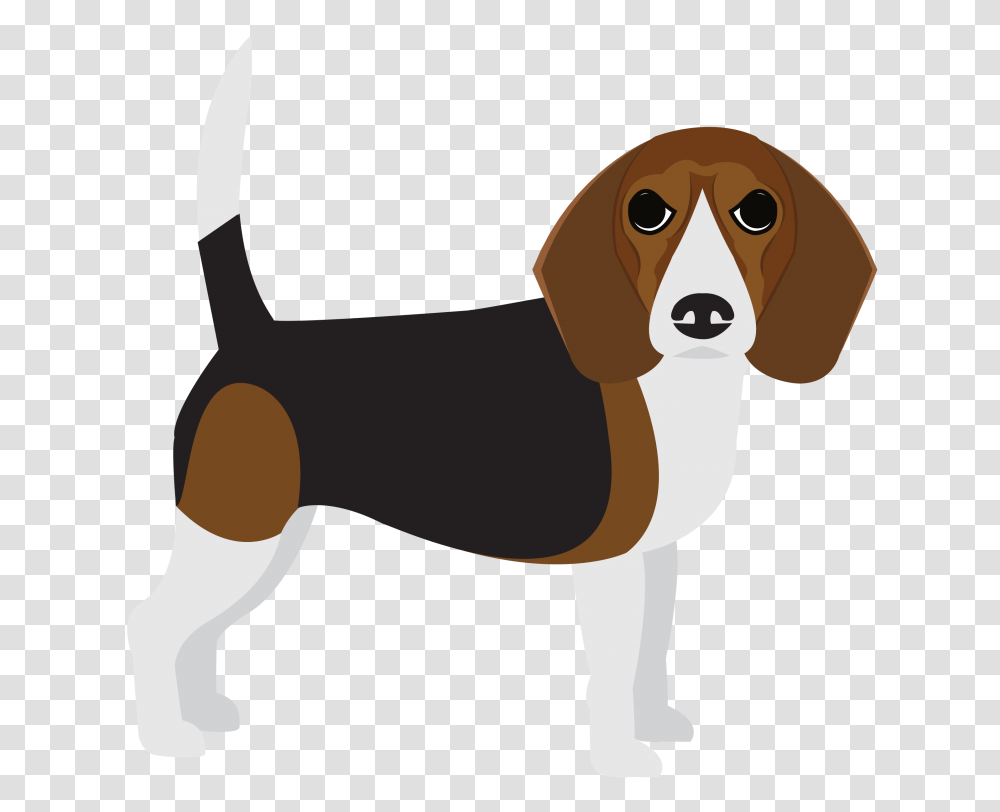 Beagle, Hound, Dog, Pet, Canine Transparent Png