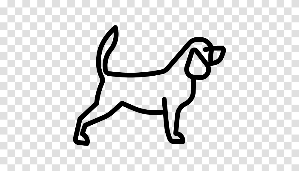 Beagle Icon, Gray, World Of Warcraft Transparent Png