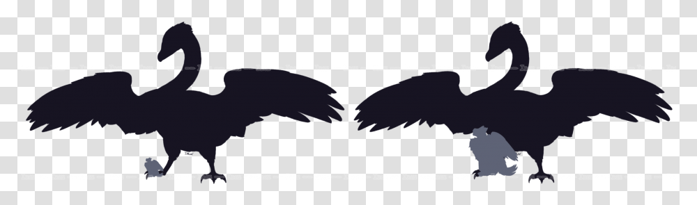 Beak Bird Crane Feather Silhouette Illustration, Eagle, Animal, Vulture, Bald Eagle Transparent Png