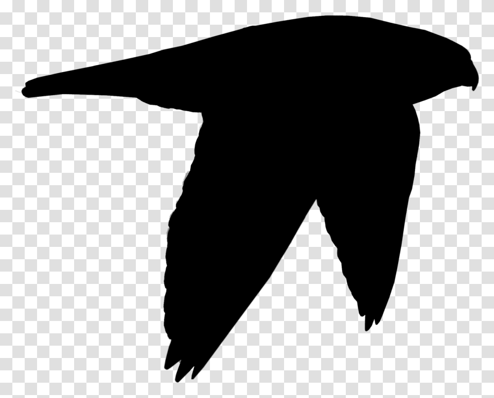 Beak Clip Art Black Bird Silhouette Illustration, Gray, World Of Warcraft Transparent Png