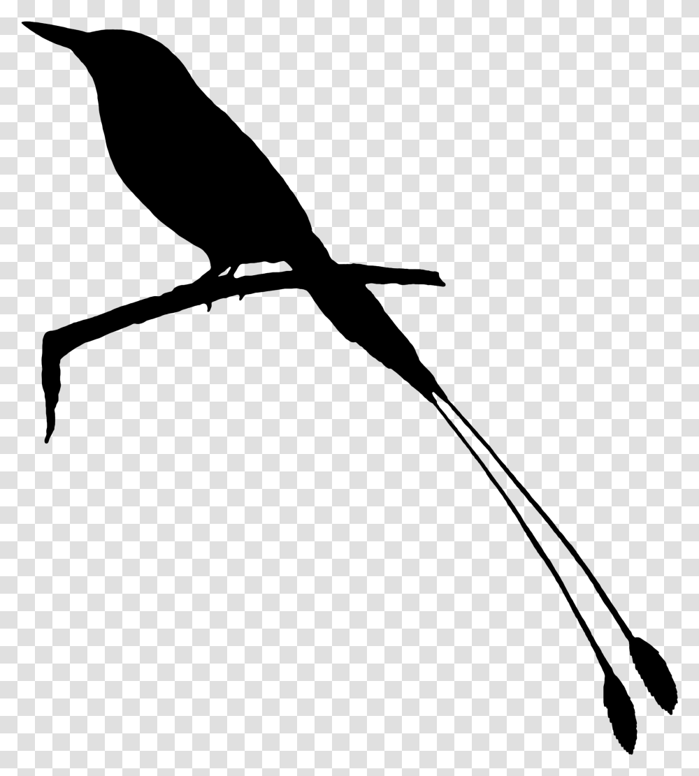 Beak Clip Art Fauna Feather Silhouette Raven, Gray, World Of Warcraft Transparent Png