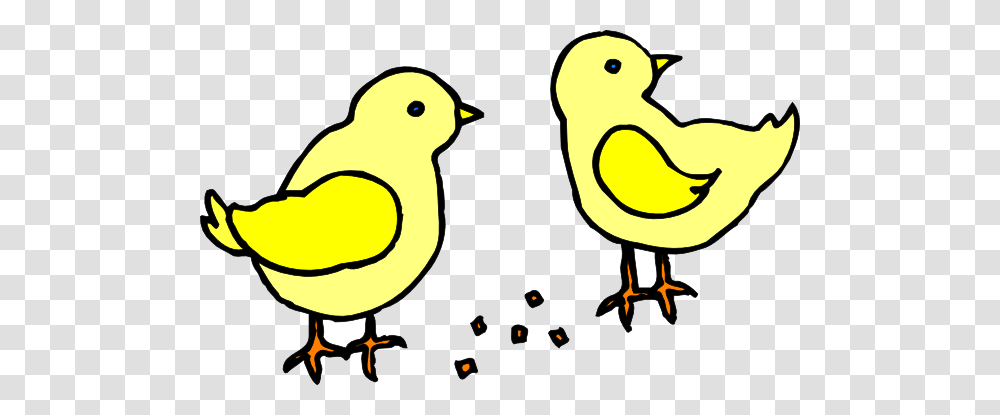 Beak Clipart Chick, Bird, Animal, Canary, Finch Transparent Png