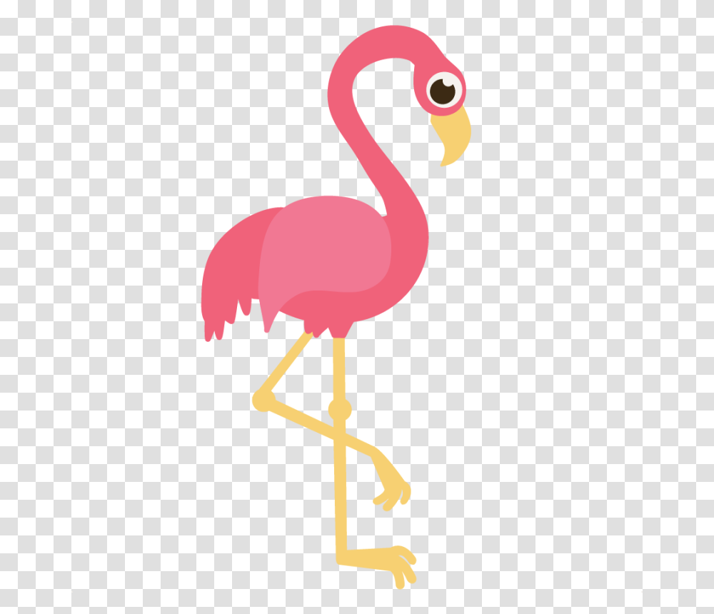 Beak Clipart Flamingo, Bird, Animal Transparent Png