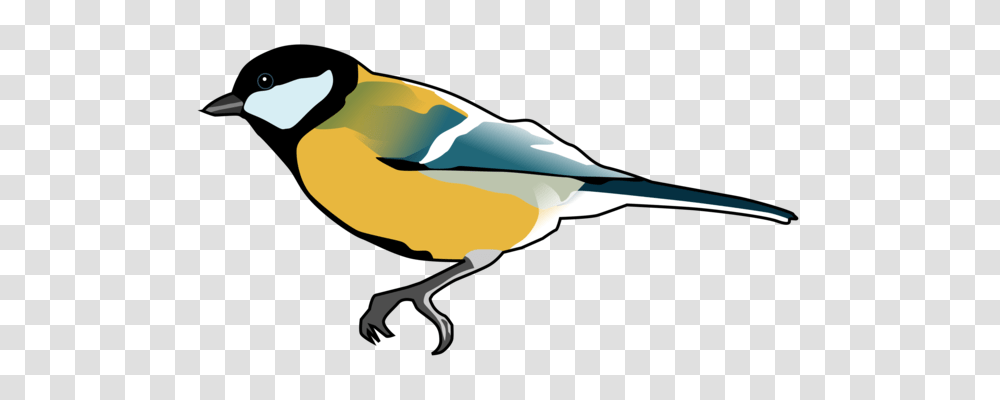 Beak Finches Bird Passerine Common Kingfisher, Animal, Waterfowl, Magpie, Anseriformes Transparent Png