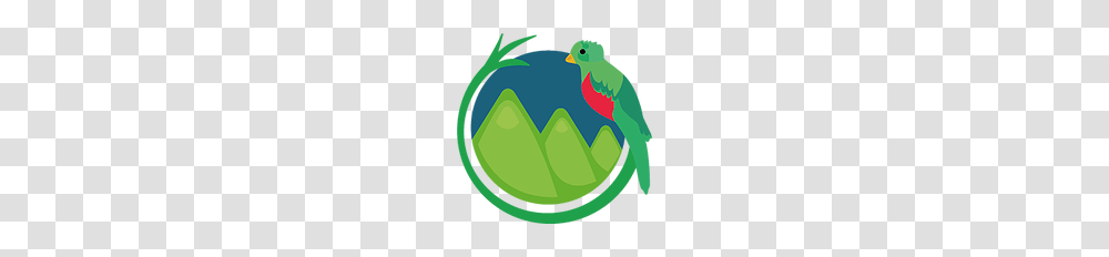 Beaks And Peaks Gracias Honduras, Animal, Plant, Reptile, Bird Transparent Png