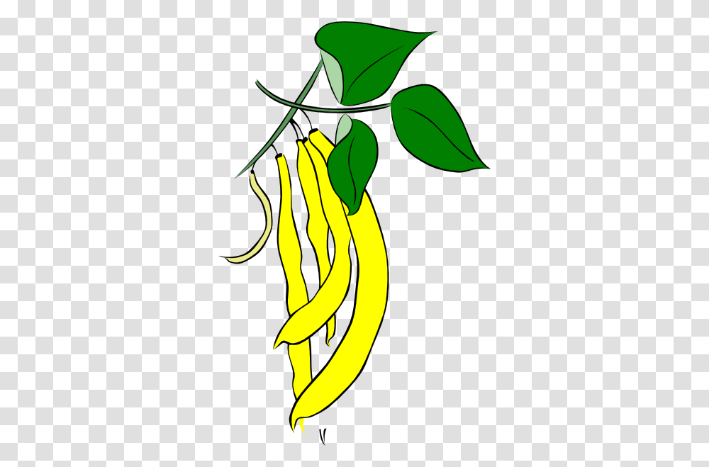 Bean Clip Art, Banana, Fruit, Plant, Food Transparent Png