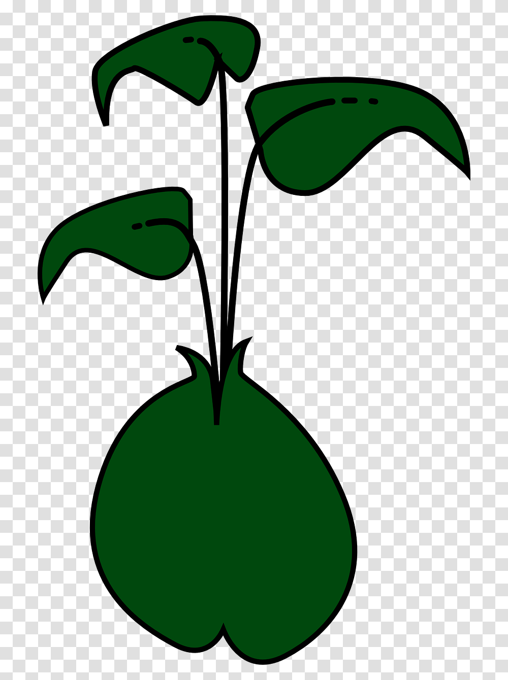 Bean Sprout Clipart, Green, Bird, Animal Transparent Png