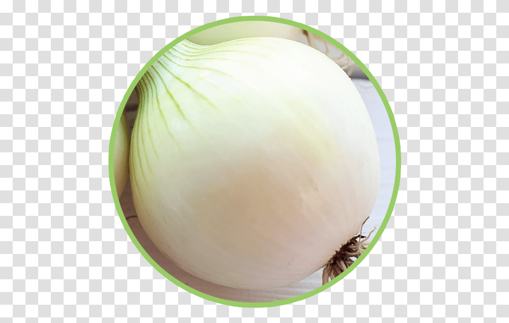 Bean Sprouts, Plant, Vegetable, Food, Onion Transparent Png