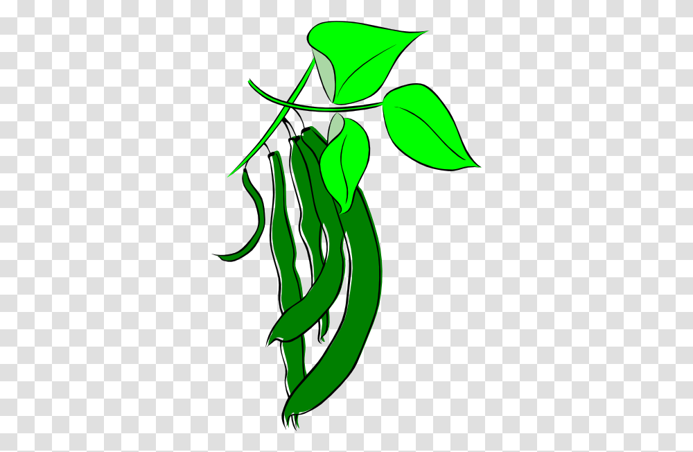 Beans Clipart, Plant, Green Bean, Produce, Vegetable Transparent Png