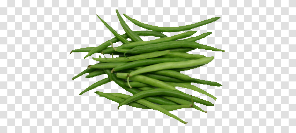 Beans Clipart String Bean Green Bean, Plant, Produce, Food, Vegetable Transparent Png