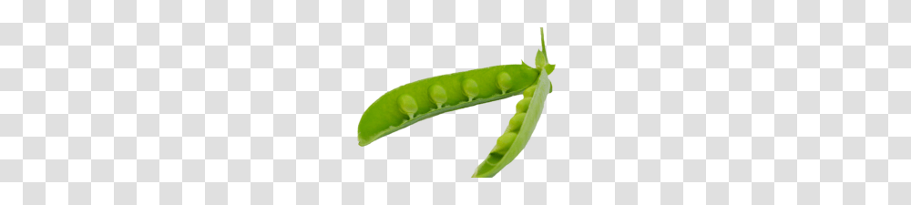 Beans Image Best Stock Photos, Plant, Vegetable, Food, Pea Transparent Png