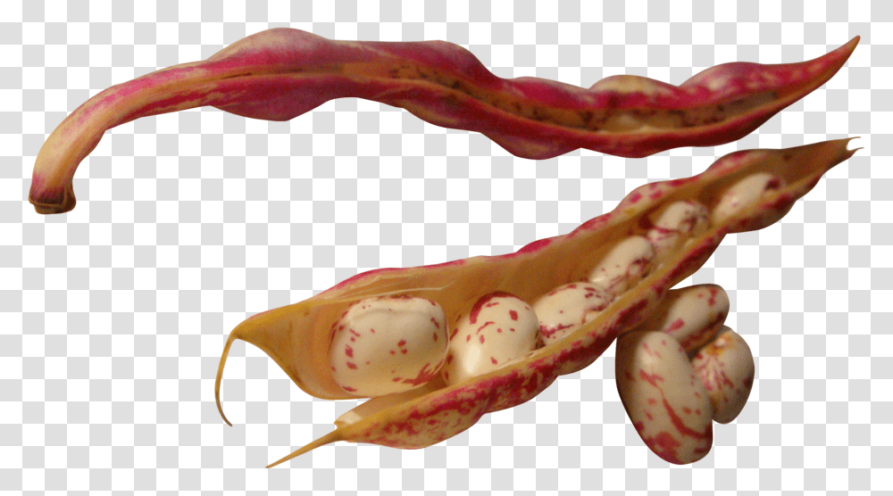 Beans Image For Free Food, Sea Life, Animal, Invertebrate, Lobster Transparent Png