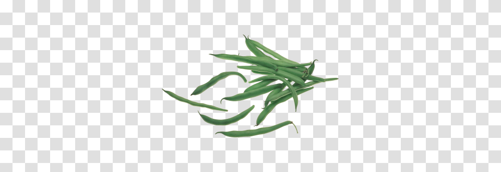 Beans Image, Plant, Produce, Food, Vegetable Transparent Png