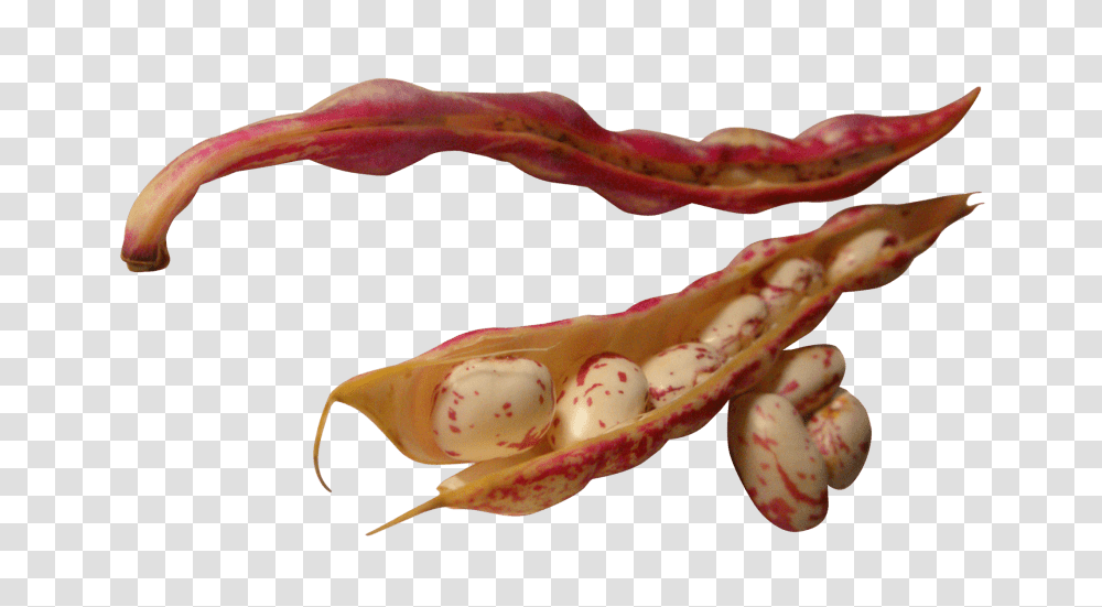 Beans, Lobster, Seafood, Sea Life, Animal Transparent Png