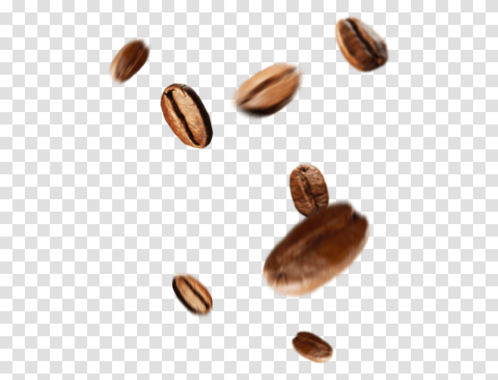 Beans Seed Seed, Plant, Nut, Vegetable, Food Transparent Png