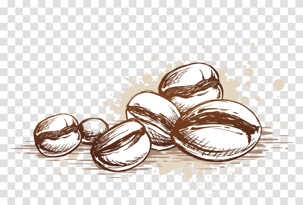 Beans Vector Coffee Seed Coffee Bean Vector, Plant, Chandelier, Food, Bread Transparent Png