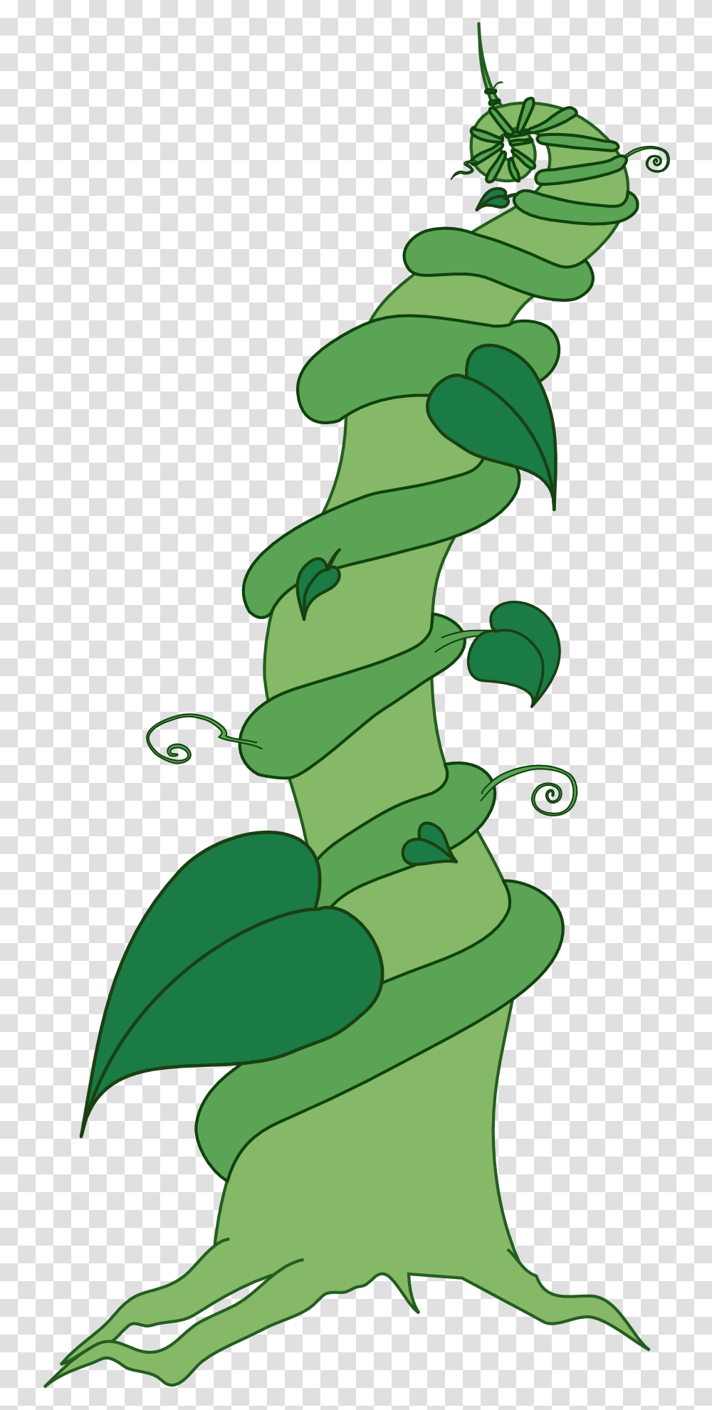 Beanstalk Clipart, Green, Jewelry, Accessories, Accessory Transparent Png