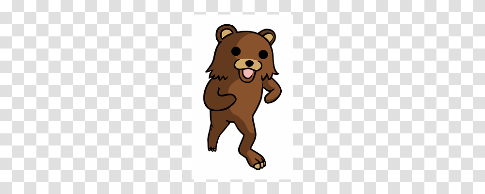 Bear Wildlife, Animal, Mammal, Beaver Transparent Png