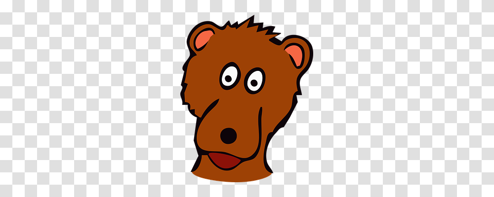 Bear Person, Face, Poster, Animal Transparent Png
