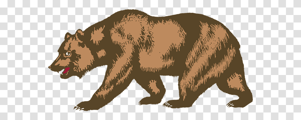Bear Animals, Wildlife, Mammal, Brown Bear Transparent Png