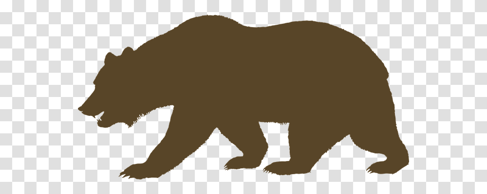 Bear Animals, Mammal, Wildlife, Brown Bear Transparent Png