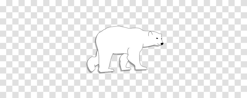 Bear Person, Mammal, Animal, Wildlife Transparent Png