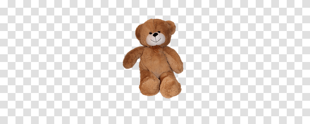 Bear Person, Toy, Plush, Teddy Bear Transparent Png