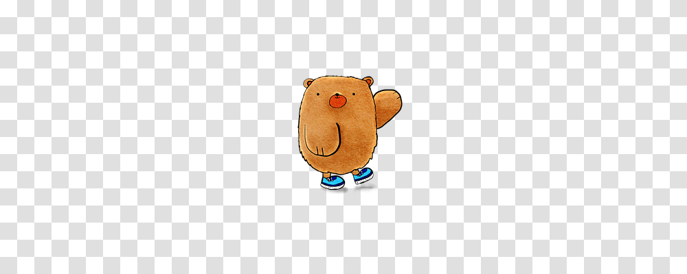 Bear Animals, Toy, Plush Transparent Png