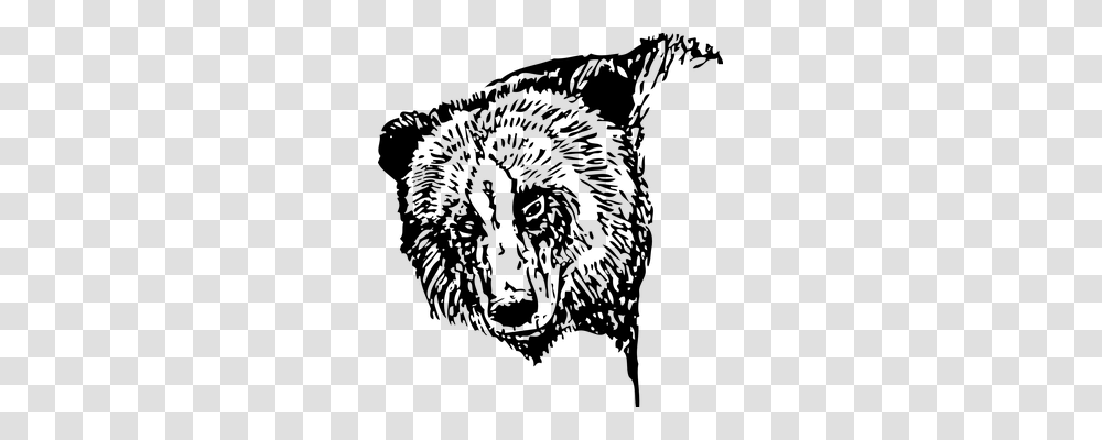 Bear Animals, Gray, World Of Warcraft Transparent Png