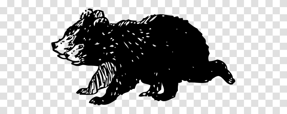 Bear Animals, Gray, World Of Warcraft Transparent Png