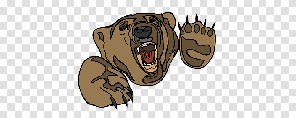 Bear Animals, Mammal, Wildlife, Brown Bear Transparent Png